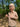 //thecutestlittle.com/cdn/shop/files/924B3_160x0.jpg?v=1759251541