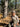 //thecutestlittle.com/cdn/shop/files/998C2_160x0.jpg?v=1759254353