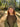 //thecutestlittle.com/cdn/shop/files/998C3_160x0.jpg?v=1759254354