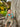 //thecutestlittle.com/cdn/shop/files/HB1300A-AQUAWHTBLUE-7_160x0.jpg?v=1708495929