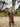 //thecutestlittle.com/cdn/shop/files/HB1300E-TANGREENSAGE-5_160x0.jpg?v=1708409385