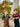//thecutestlittle.com/cdn/shop/files/HB1300E-TANGREENSAGE-9_160x0.jpg?v=1708409386