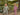 //thecutestlittle.com/cdn/shop/files/HB1326A-RUSTWHITE-3_160x0.jpg?v=1719060760