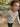 //thecutestlittle.com/cdn/shop/files/HB1375M-TANWHITE-7_160x0.jpg?v=1708474325