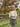//thecutestlittle.com/cdn/shop/files/V1189C-C-3_160x0.jpg?v=1708599958