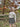 //thecutestlittle.com/cdn/shop/files/V1199C-C-5_160x0.jpg?v=1708591850