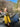 //thecutestlittle.com/cdn/shop/files/V977E-E-5_160x0.jpg?v=1708647817