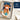 //thecutestlittle.com/cdn/shop/files/highlandcowlovey5_160x0.webp?v=1755528870