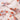 //thecutestlittle.com/cdn/shop/files/pink-floral-dress_800x_jpg_160x0.webp?v=1727291303
