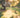 //thecutestlittle.com/cdn/shop/articles/johnny-cohen-xro1l0c72VY-unsplash_380x360.jpg?v=1783695228