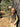 //thecutestlittle.com/cdn/shop/files/0002378971224FEA_L_345x0.jpg?v=1764013815