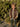 //thecutestlittle.com/cdn/shop/files/00023893925A00CC_L_345x0.jpg?v=1764014862