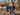 //thecutestlittle.com/cdn/shop/files/00024651315CE91F_L_345x0.jpg?v=1764788183