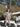 //thecutestlittle.com/cdn/shop/files/00024682760DB889_L_345x0.jpg?v=1763764773