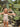 //thecutestlittle.com/cdn/shop/files/000280857933A7C8_L_345x0.jpg?v=1771530467