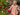 //thecutestlittle.com/cdn/shop/files/00028095336937CB_L_345x0.jpg?v=1771530199