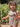 //thecutestlittle.com/cdn/shop/files/00028137861AFBBD_L_345x0.jpg?v=1771964874