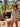 //thecutestlittle.com/cdn/shop/files/00028137863383EE_L_345x0.jpg?v=1771530467