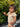 //thecutestlittle.com/cdn/shop/files/00028155969BA118_L_345x0.jpg?v=1771964115