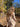 //thecutestlittle.com/cdn/shop/files/1801C4_345x0.jpg?v=1789741816