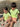 //thecutestlittle.com/cdn/shop/files/1801d3_345x0.jpg?v=1772148953