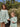 //thecutestlittle.com/cdn/shop/files/1804B4_345x0.jpg?v=1789739446