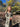 //thecutestlittle.com/cdn/shop/files/1824C2_345x0.jpg?v=1789742879