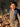 //thecutestlittle.com/cdn/shop/files/19143_345x0.jpg?v=1791316461