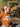 //thecutestlittle.com/cdn/shop/files/1965p_3_345x0.jpg?v=1788295033