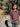 //thecutestlittle.com/cdn/shop/files/1971n2_345x0.jpg?v=1788357567