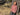 //thecutestlittle.com/cdn/shop/files/1996c3_345x0.jpg?v=1788358625