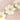 //thecutestlittle.com/cdn/shop/files/1dd20e5583065216893723b68b85142b6e4566a8b2bb1e39b1ee144b09842c16_345x0.jpg?v=1791576895