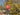 //thecutestlittle.com/cdn/shop/files/2003A3_345x0.jpg?v=1788296538
