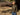 //thecutestlittle.com/cdn/shop/files/2003D3_345x0.jpg?v=1788296538