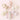 //thecutestlittle.com/cdn/shop/files/32b3667926cf712df166e5b5af05315042e886325a68702fdc42e69b4d4d078d_345x0.jpg?v=1792003572