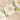//thecutestlittle.com/cdn/shop/files/6bb6446ff20df702b50491b419f1bb83935853b0e661dc8154fb7421bfa19f0b_345x0.jpg?v=1791576907