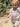 //thecutestlittle.com/cdn/shop/files/802A-22_298x0.jpg?v=1773090429