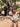 //thecutestlittle.com/cdn/shop/files/814b2_345x0.jpg?v=1771358222