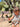 //thecutestlittle.com/cdn/shop/files/814b3_345x0.jpg?v=1771358221
