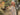 //thecutestlittle.com/cdn/shop/files/8223_345x0.jpg?v=1771358580