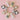 //thecutestlittle.com/cdn/shop/files/9d2f93fce1fbbb677a337dcf02d6fefeb2e2dd6d69895222f30ad3ce0b96215e_345x0.jpg?v=1791576886