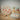 //thecutestlittle.com/cdn/shop/files/A1552_A1549_A1151_A1557_A1553_HummingbirdBTSSchool_2048x2048_dc35278e-6725-4945-b672-c43ca2388b1a_345x0.webp?v=1775757815