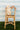 //thecutestlittle.com/cdn/shop/files/FPFox4_345x0.webp?v=1771946836