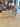 //thecutestlittle.com/cdn/shop/files/IMG_2286_298x0.heic?v=1779141020