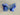 //thecutestlittle.com/cdn/shop/files/IMG_4032_345x0.heic?v=1787865251