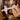 //thecutestlittle.com/cdn/shop/files/Medifrida3_345x0.webp?v=1788621835