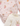//thecutestlittle.com/cdn/shop/files/Screenshot2026-08-24at8.36.25PM_345x0.png?v=1787621802