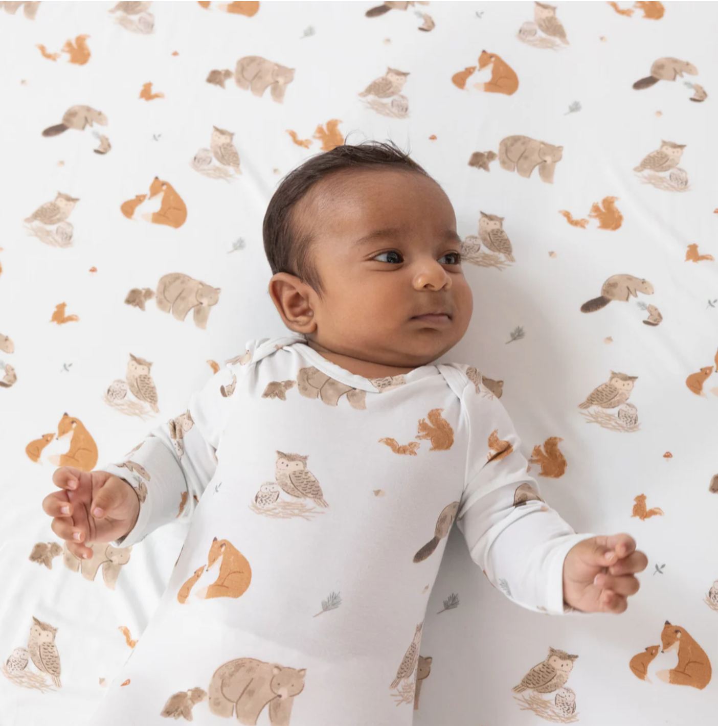 Mixed Woodland Animals Blue - Swaddle Blanket