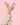 //thecutestlittle.com/cdn/shop/files/Unicorn3_d95354c5-e48c-428a-a790-c46e5fdfd9d9_345x0.jpg?v=1785783121
