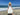 //thecutestlittle.com/cdn/shop/files/V1348A_1_345x0.jpg?v=1761241385